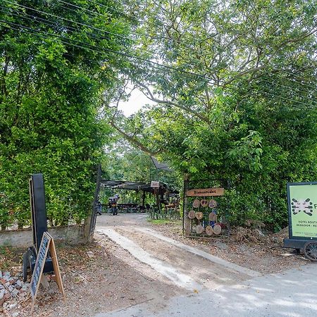 مبيت وإفطار اباغويه Ayenda Flora Jaguar المظهر الخارجي الصورة